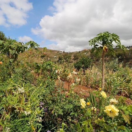 Apartamento Countryside Views House Teror Exterior foto