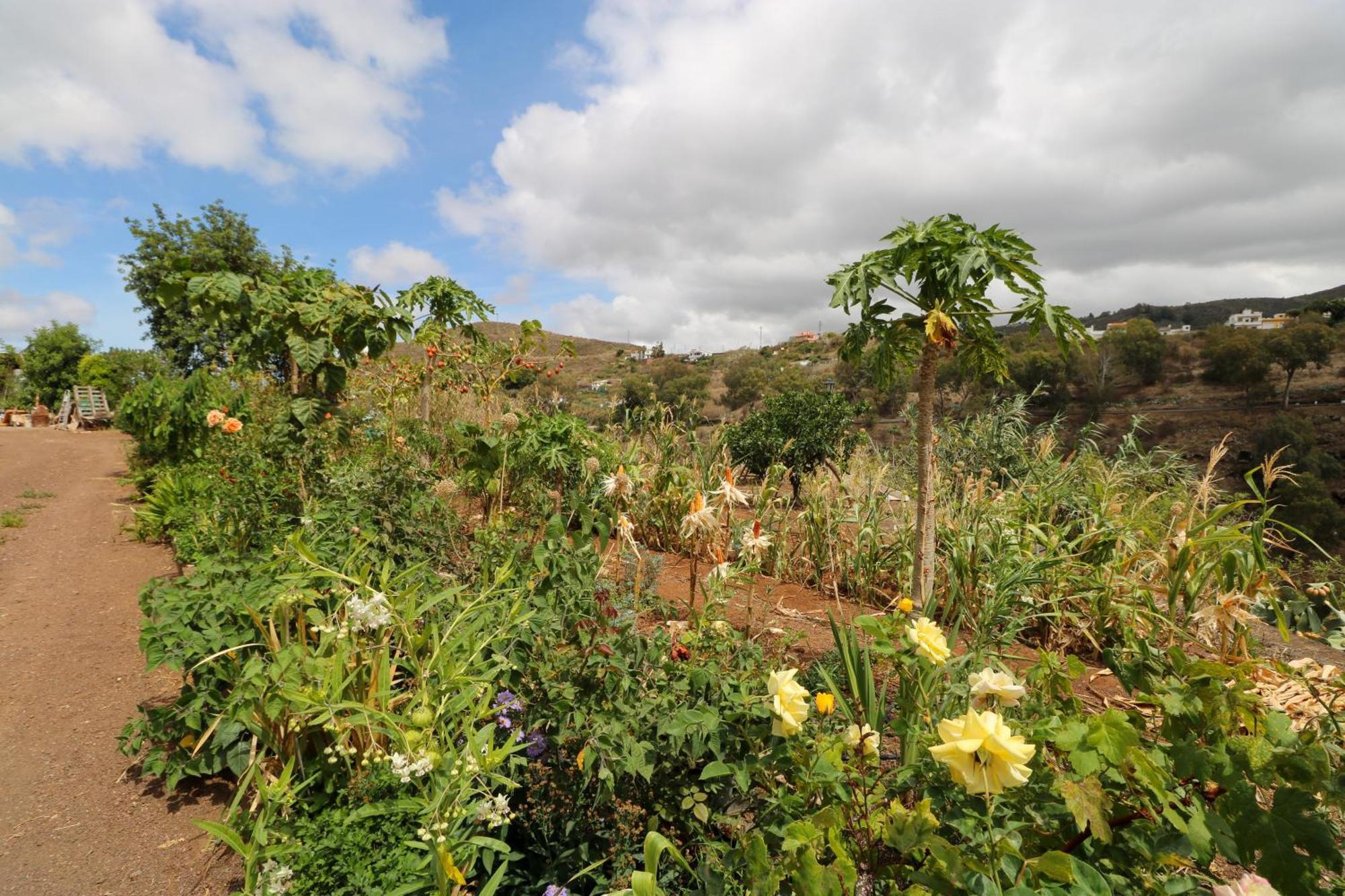 Apartamento Countryside Views House Teror Exterior foto